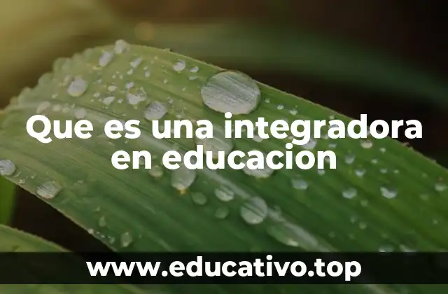 Que es una integradora en educacion