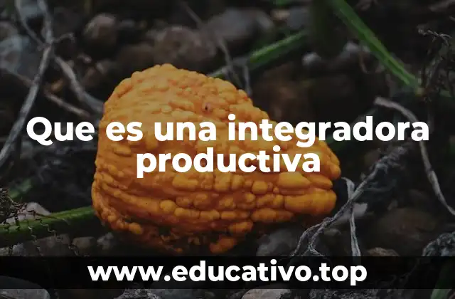 Que es una integradora productiva