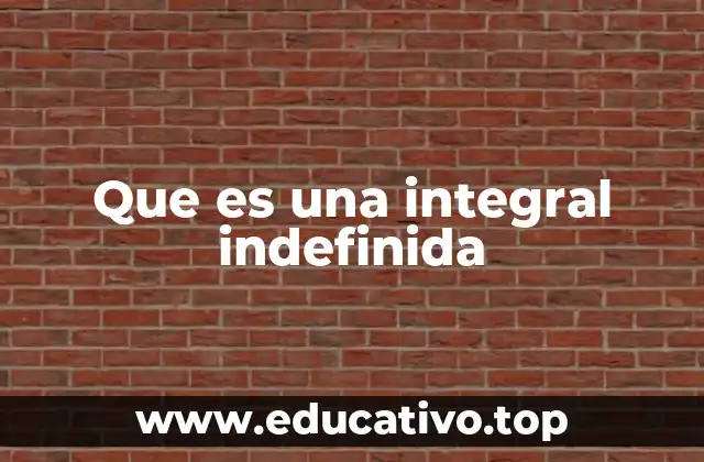 Que es una integral indefinida
