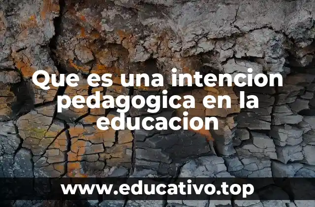 Que es una intencion pedagogica en la educacion