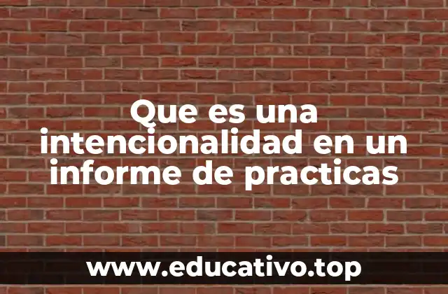 Que es una intencionalidad en un informe de practicas
