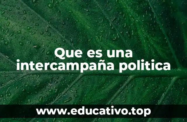 Que es una intercampaña politica