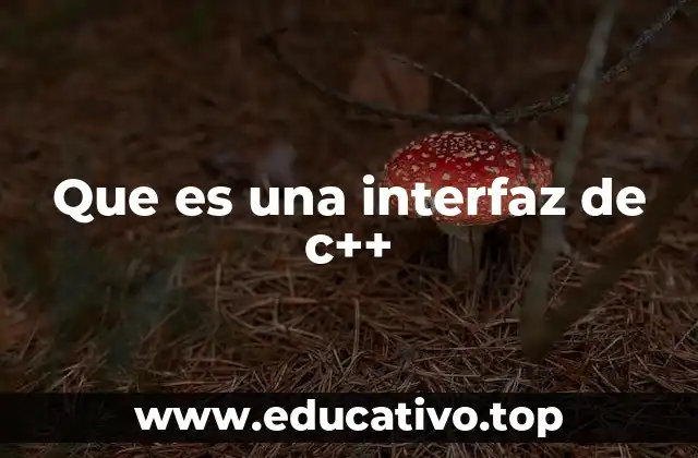 Que es una interfaz de c++