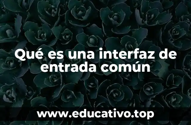 Qué es una interfaz de entrada común