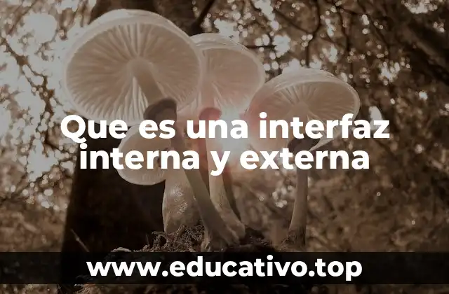 Que es una interfaz interna y externa