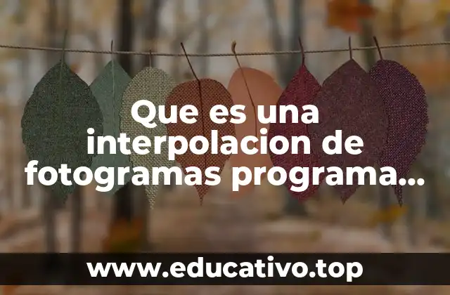 Que es una interpolacion de fotogramas programa flash