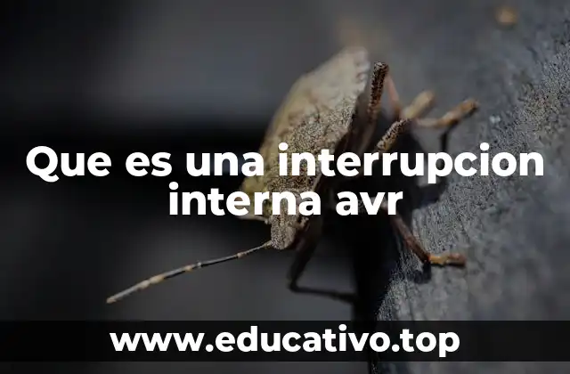 Que es una interrupcion interna avr