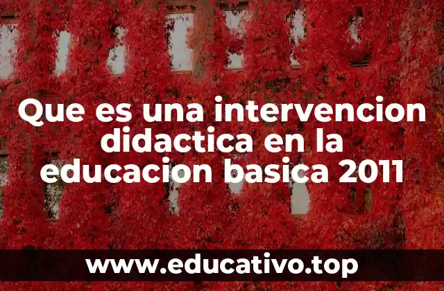 Que es una intervencion didactica en la educacion basica 2011
