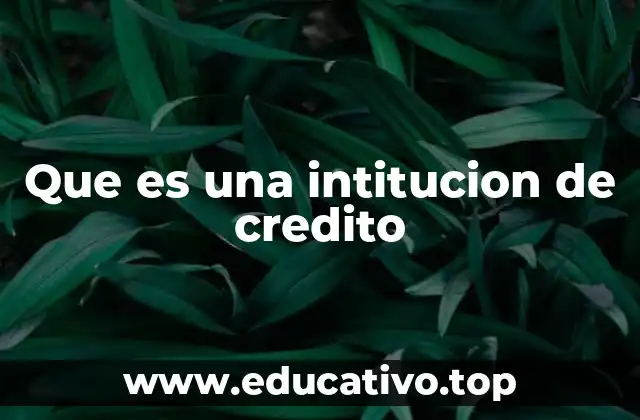 Que es una intitucion de credito