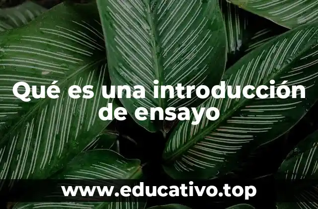 La importancia de una introducción efectiva en un ensayo