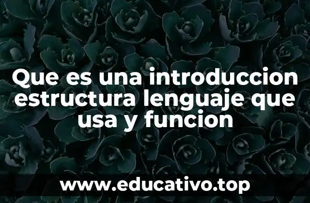 Que es una introduccion estructura lenguaje que usa y funcion