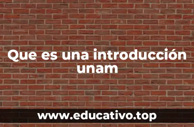 Que es una introducción unam
