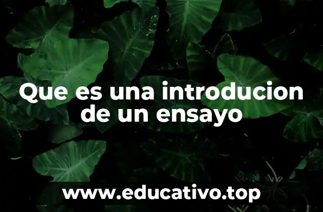 Que es una introducion de un ensayo