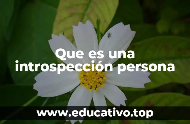 Que es una introspección persona