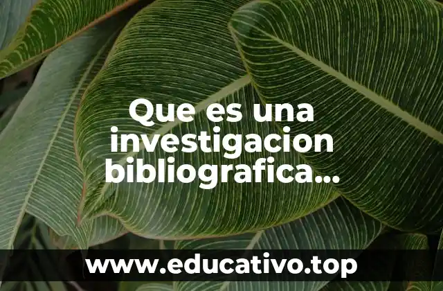 Que es una investigacion bibliografica documental
