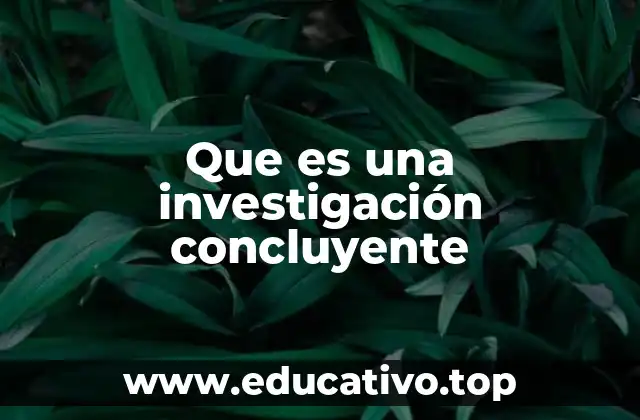Que es una investigación concluyente