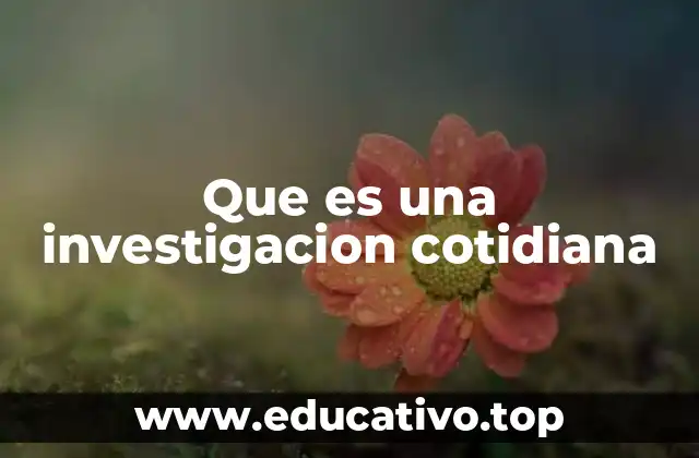 Que es una investigacion cotidiana