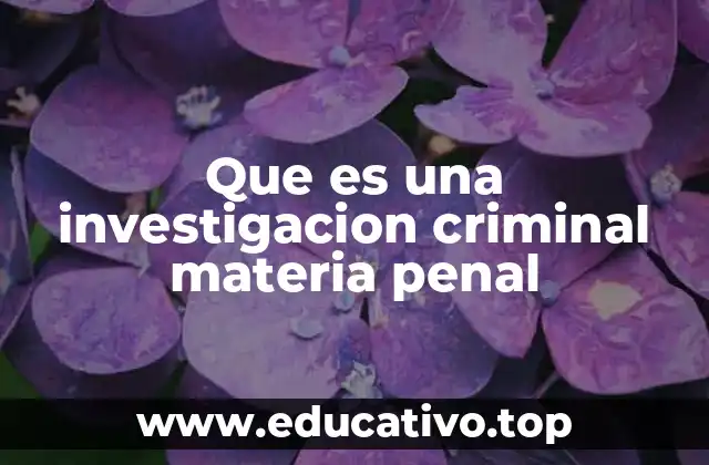 Que es una investigacion criminal materia penal
