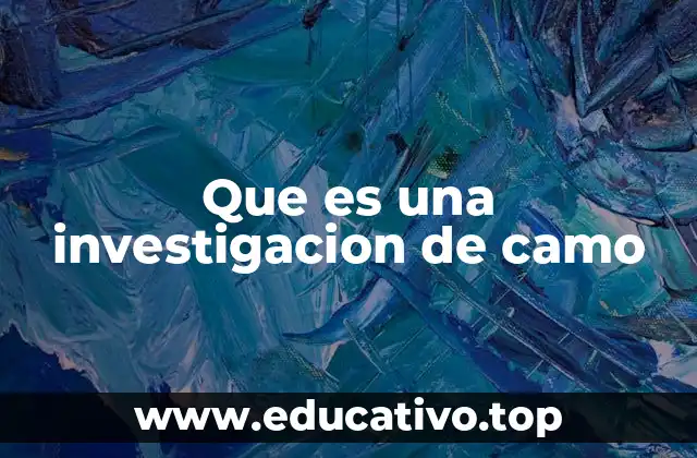 Que es una investigacion de camo