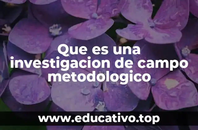 Que es una investigacion de campo metodologico