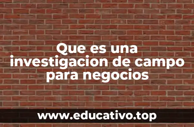 Que es una investigacion de campo para negocios