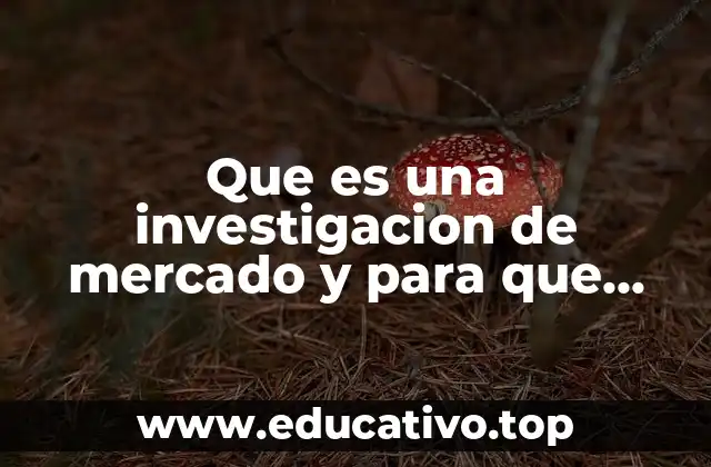 Que es una investigacion de mercado y para que sirve