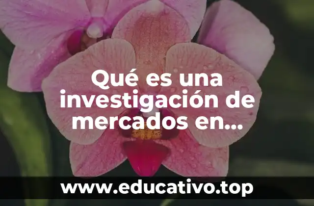 Qué es una investigación de mercados en mercadológica