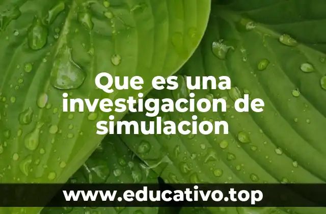 Que es una investigacion de simulacion