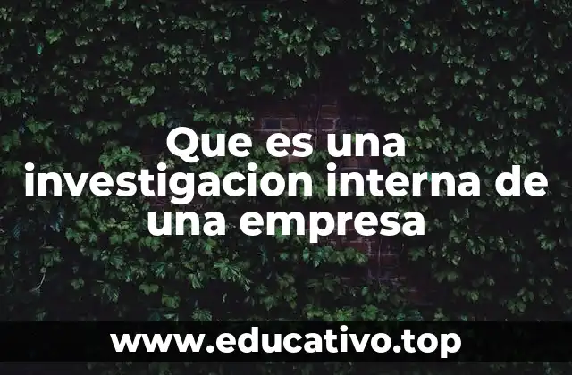 Que es una investigacion interna de una empresa
