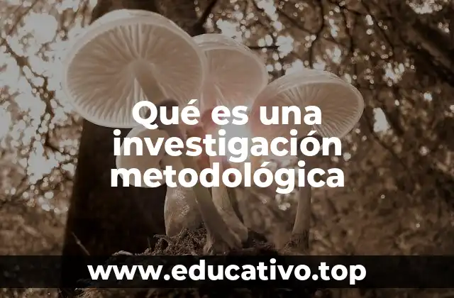 Qué es una investigación metodológica
