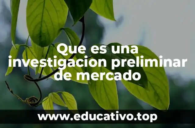 Que es una investigacion preliminar de mercado