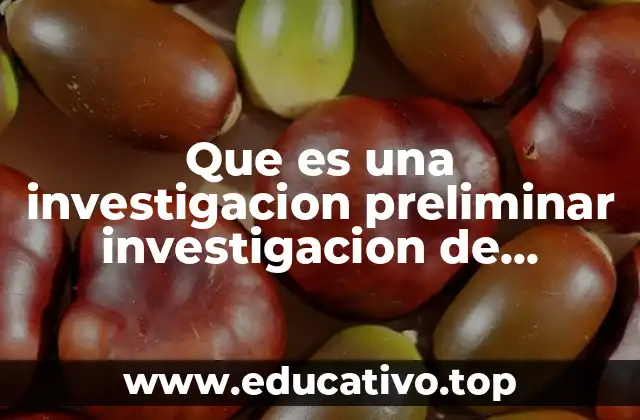 Que es una investigacion preliminar investigacion de mercados