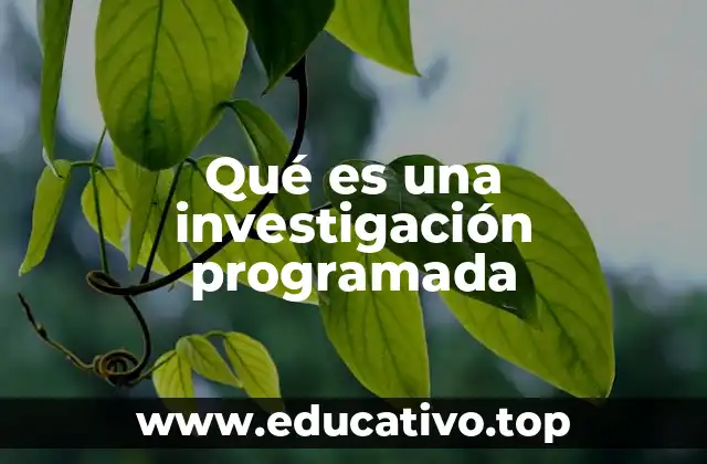 La importancia de una metodología clara en el estudio sistemático