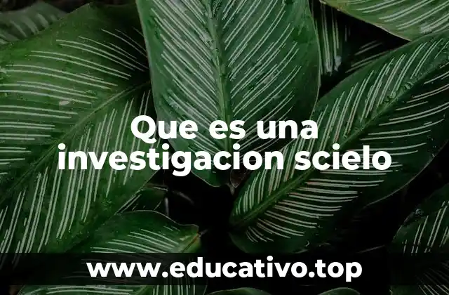 Que es una investigacion scielo