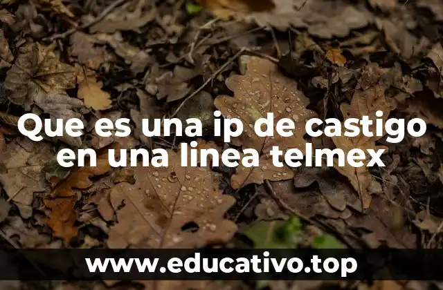 Que es una ip de castigo en una linea telmex