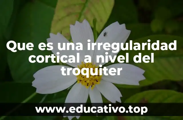Que es una irregularidad cortical a nivel del troquiter