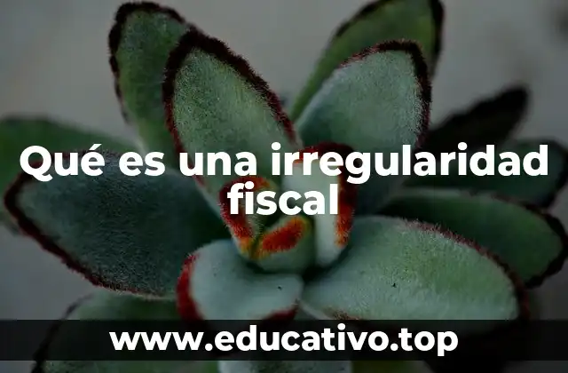 Qué es una irregularidad fiscal