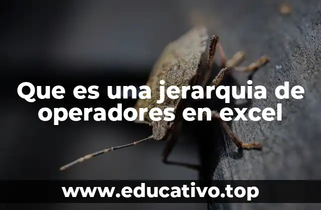 Que es una jerarquia de operadores en excel