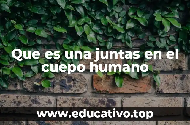 Que es una juntas en el cuepo humano