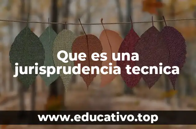 Que es una jurisprudencia tecnica