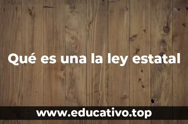 Qué es una la ley estatal