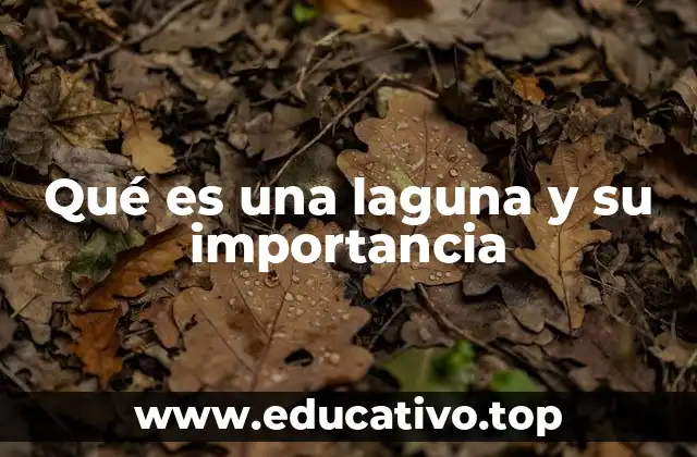 Qué es una laguna y su importancia