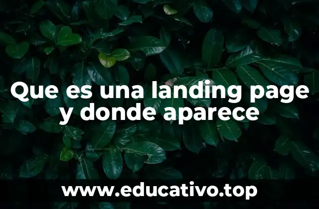 Que es una landing page y donde aparece