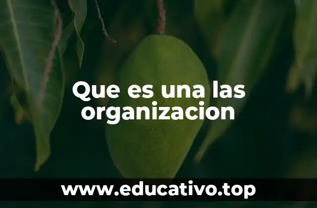 Que es una las organizacion
