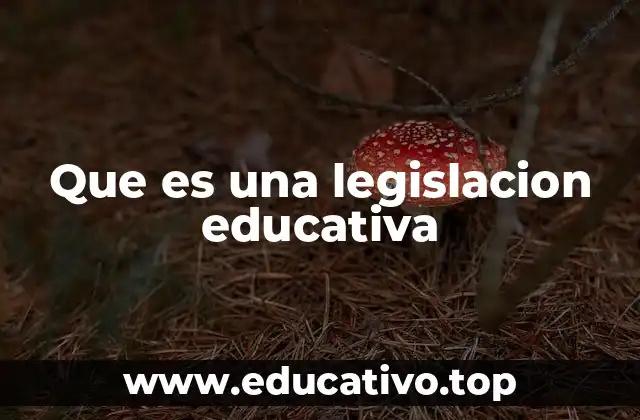 Que es una legislacion educativa