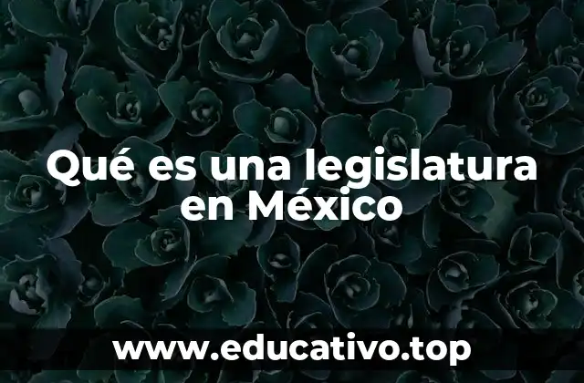 Qué es una legislatura en México