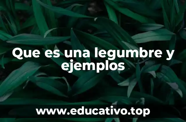 Características nutricionales y beneficios de las legumbres