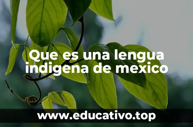 Que es una lengua indigena de mexico