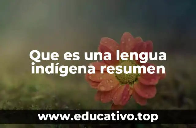 Que es una lengua indígena resumen