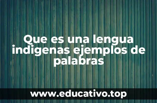 Que es una lengua indigenas ejemplos de palabras
